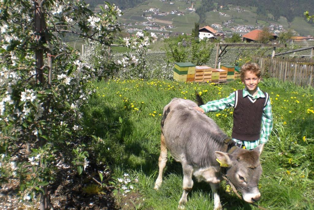 Krebishof Agriturismo Скена Экстерьер фото